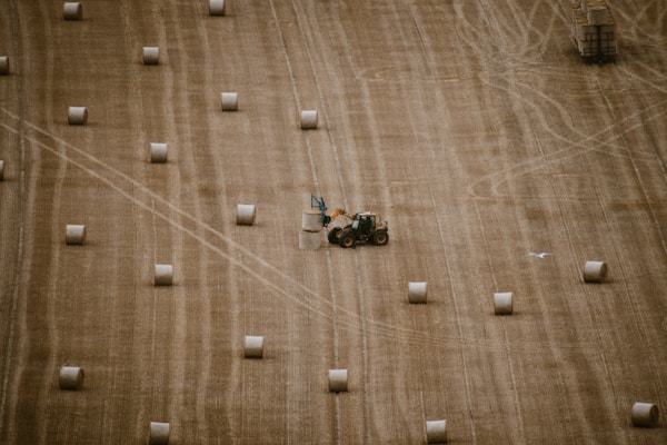AI and Climate: How Partnerships Drive Agricultural Innovation