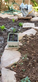 A small garden area with freshly dug soil and several small plants emerging. A decorative pot with a plant is placed on a stone pathway, and a bag filled with materials is seen in the background. There are garden hoses coiled on the ground, and the surroundings have a natural earthy ambiance.