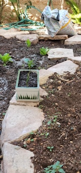 A small garden area with freshly dug soil and several small plants emerging. A decorative pot with a plant is placed on a stone pathway, and a bag filled with materials is seen in the background. There are garden hoses coiled on the ground, and the surroundings have a natural earthy ambiance.
