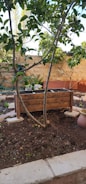 A small garden features a wooden planter filled with soil surrounded by trees and plants. There is a stone wall in the background, and a hose is coiled near a wall. The ground appears freshly tilled with visible patches of soil.