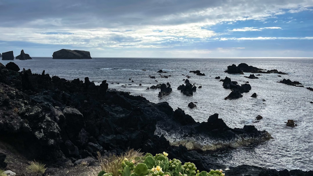 a rocky beach with a body of water in the background,