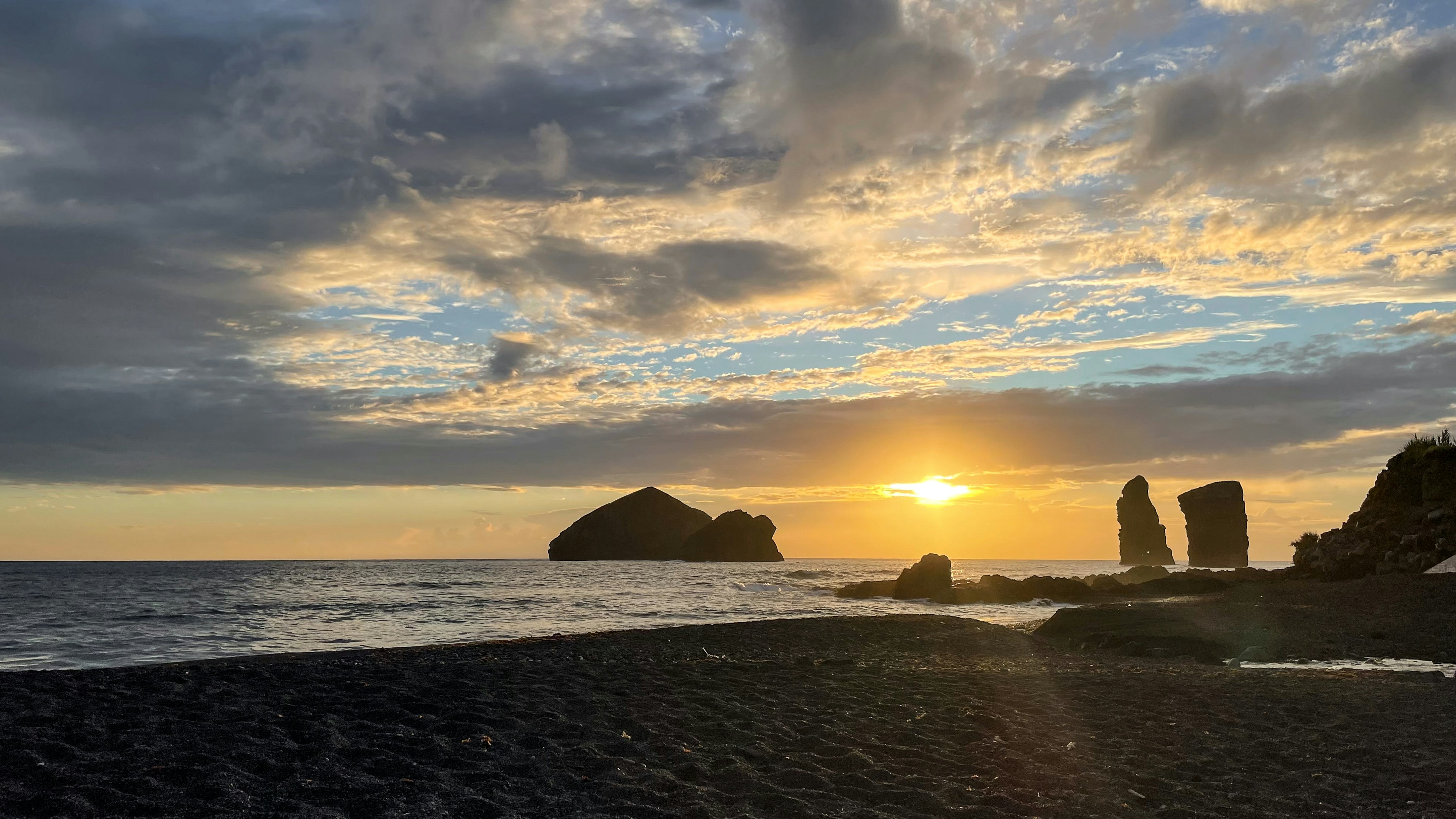 Photo by tyrannosara