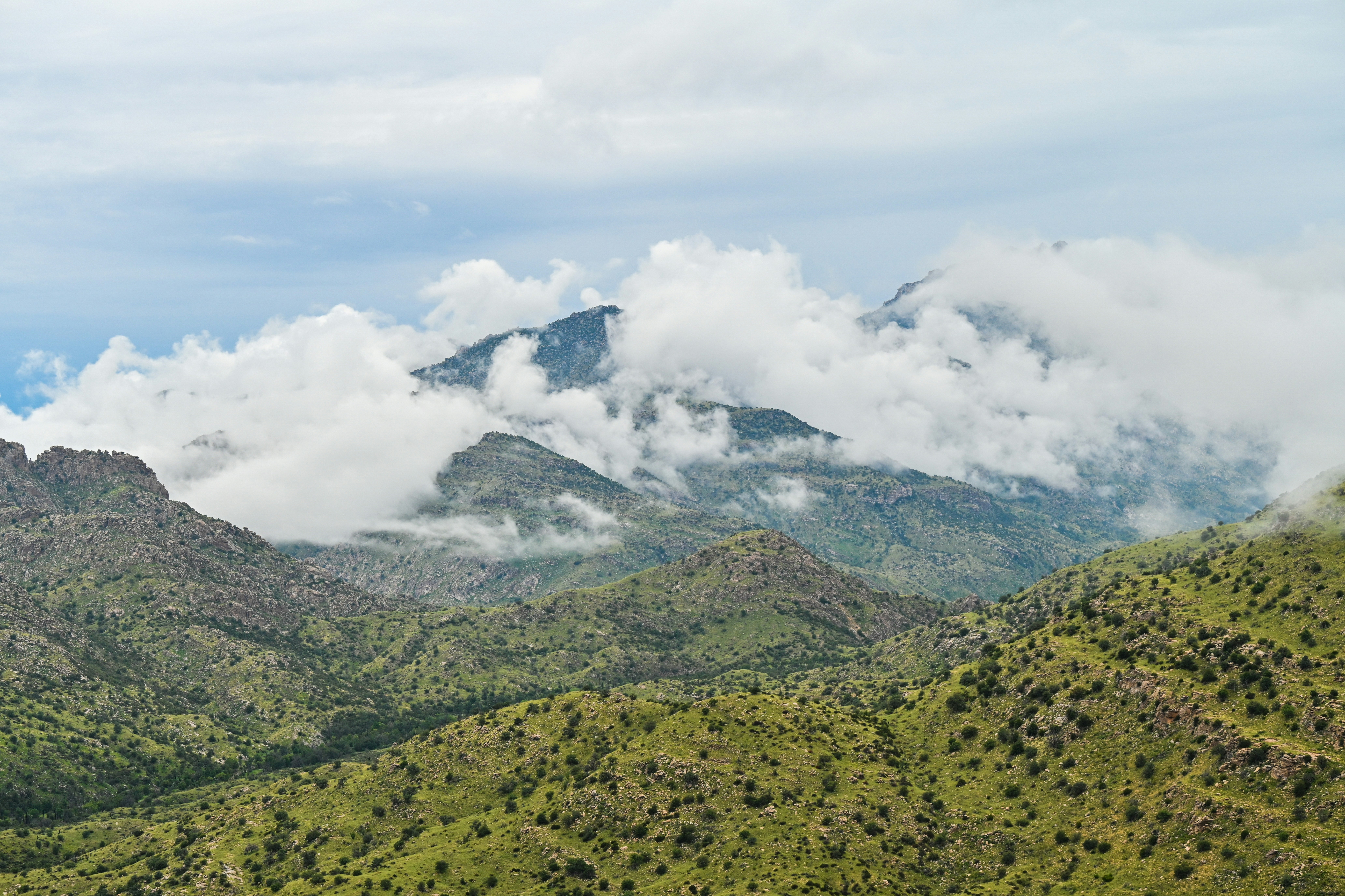 Photo by firedorange717