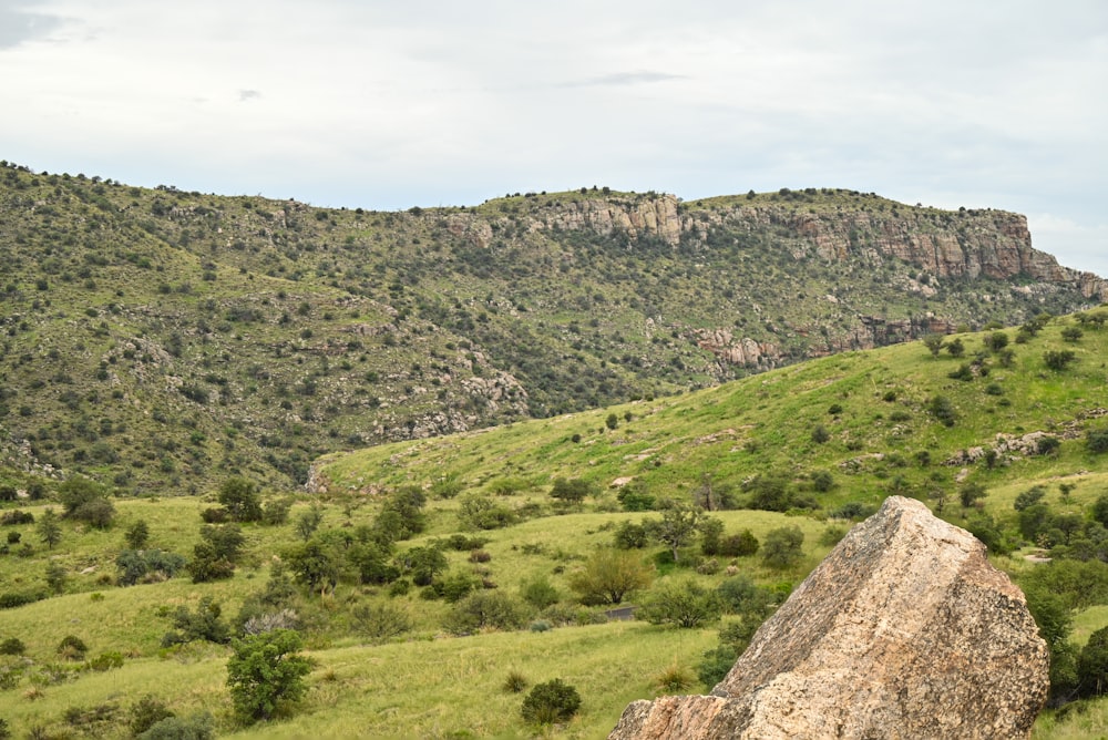 a grassy hill with trees and rocks