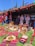 A traditional outdoor setting features colorful textiles, brass coffee pots, and other cultural items arranged on grass. Two men wearing traditional attire stand in front of a tent adorned with intricate patterns. Several visitors are present, engaging with the atmosphere.