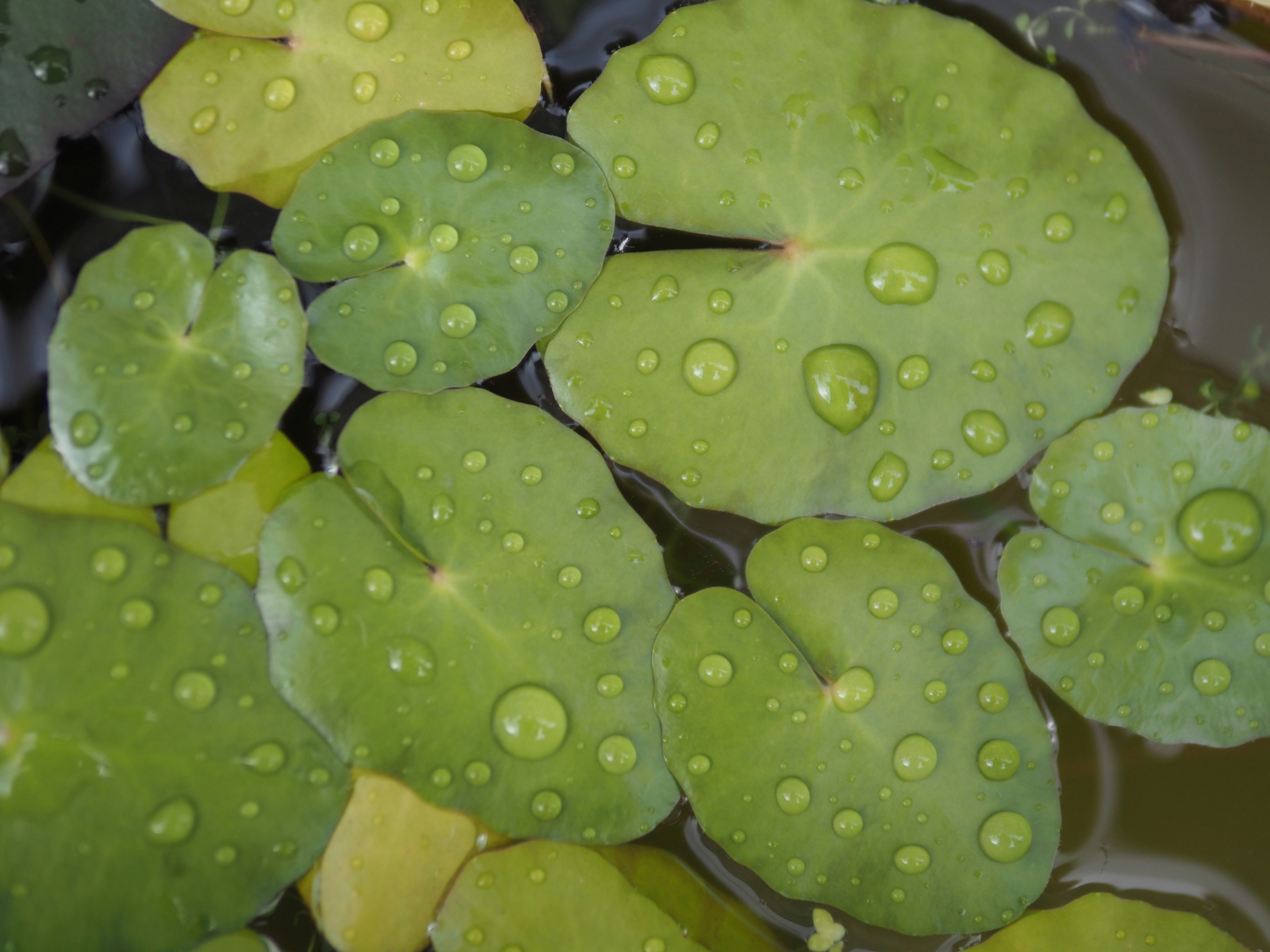 Photo by siemon_hmbrx