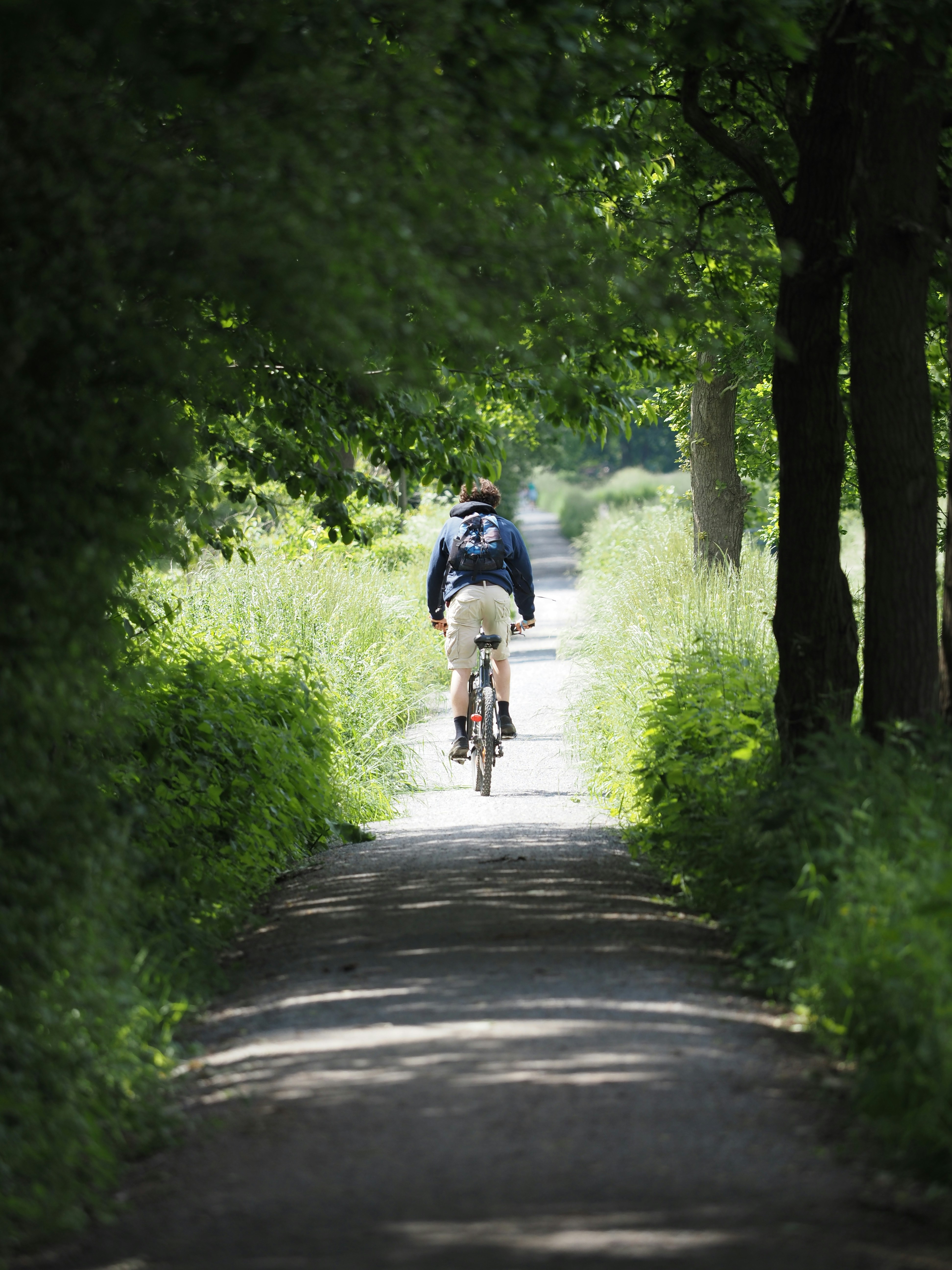 a person riding a bicycle on a path surrounded by trees