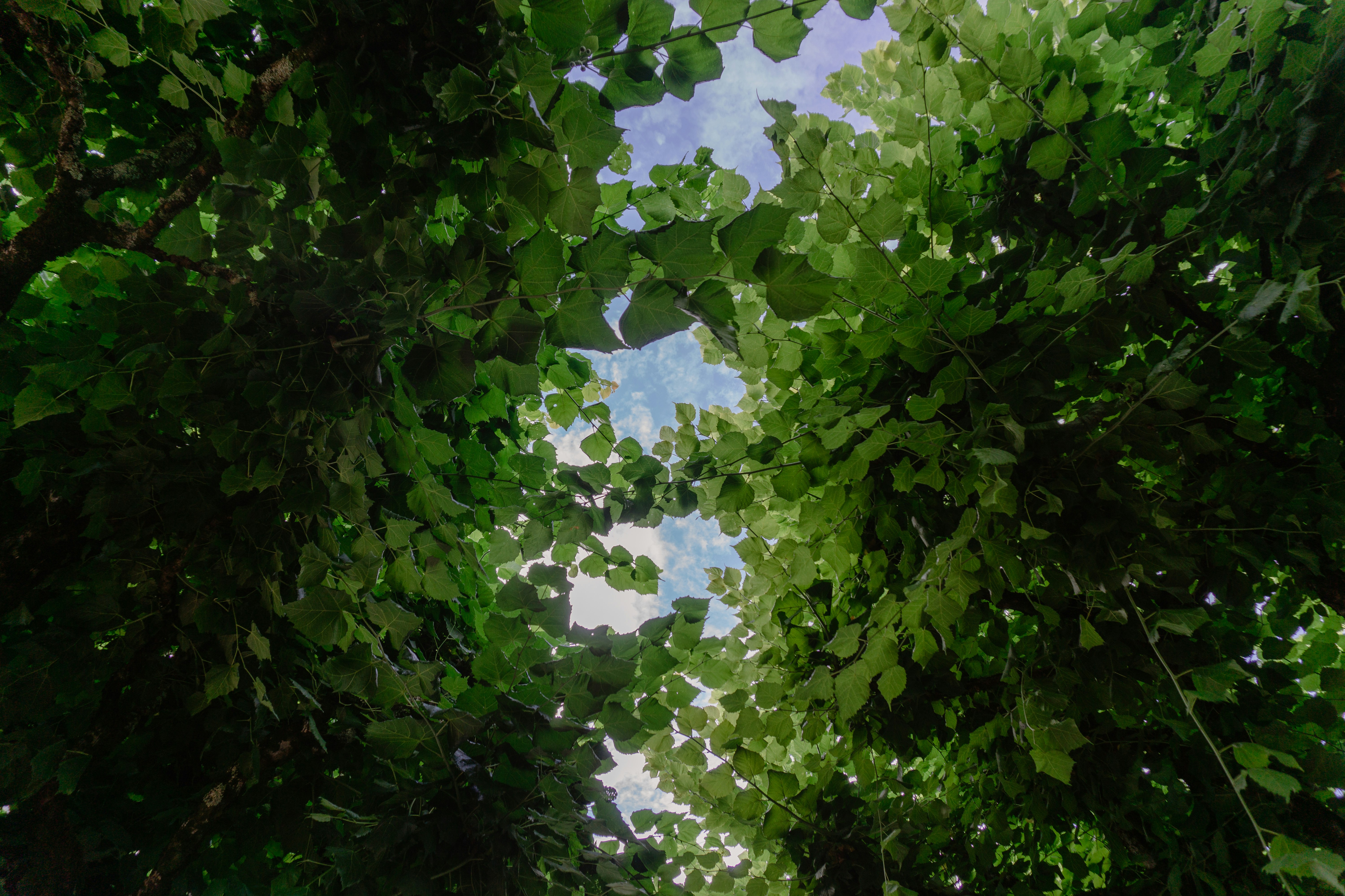 Photo by thomasfryatt