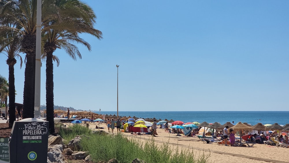 a beach is filled with people