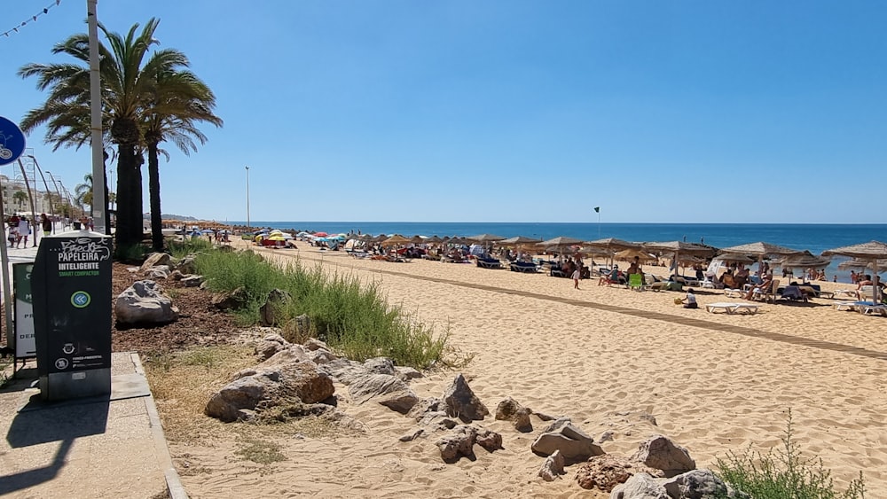 a beach with people and cars