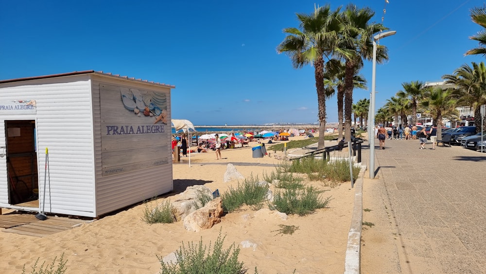 a sandy beach with palm trees and a sign