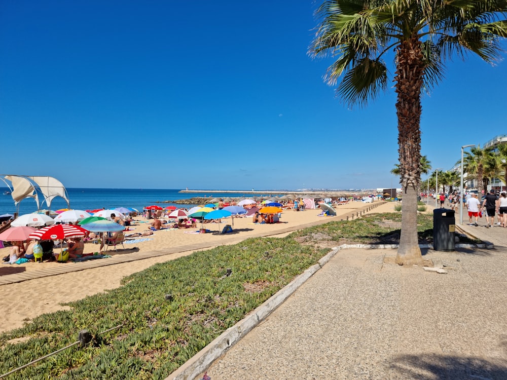 a beach with many people and umbrellas