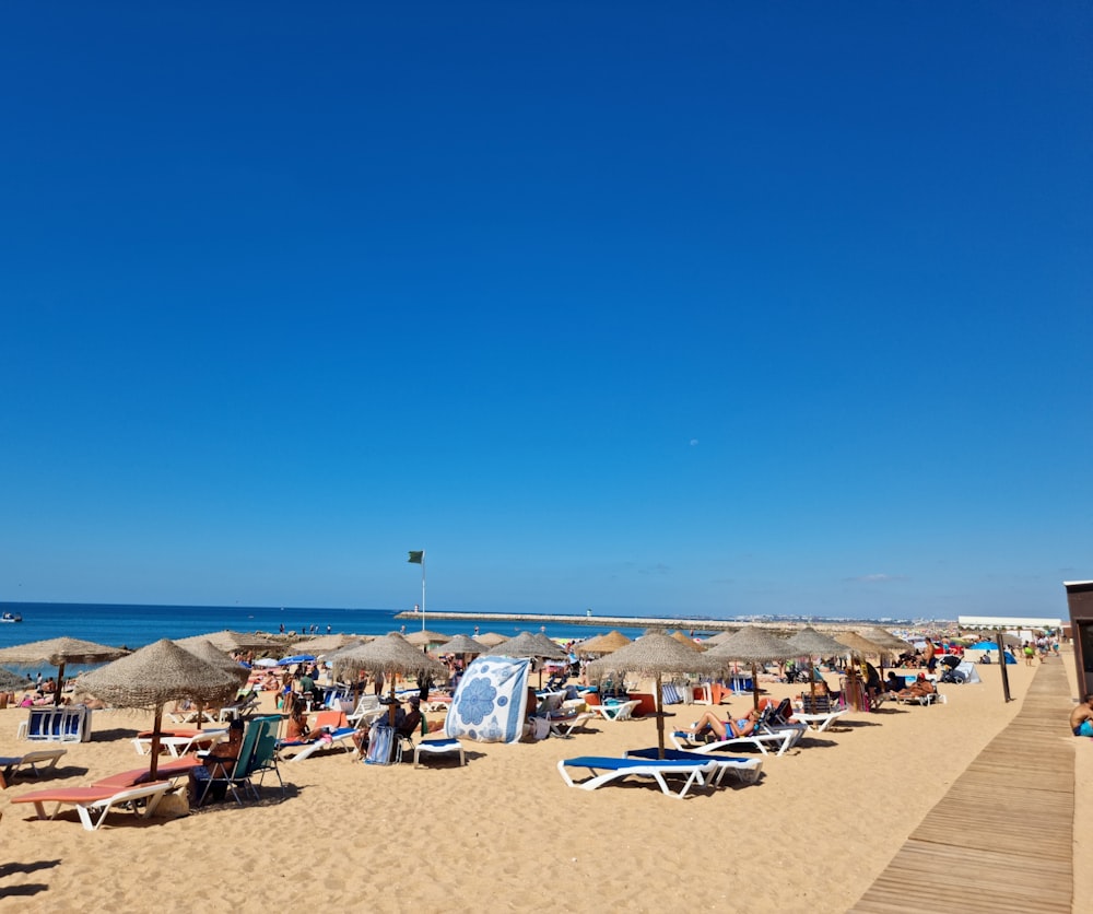 uma praia com muitas cadeiras e guarda-sóis