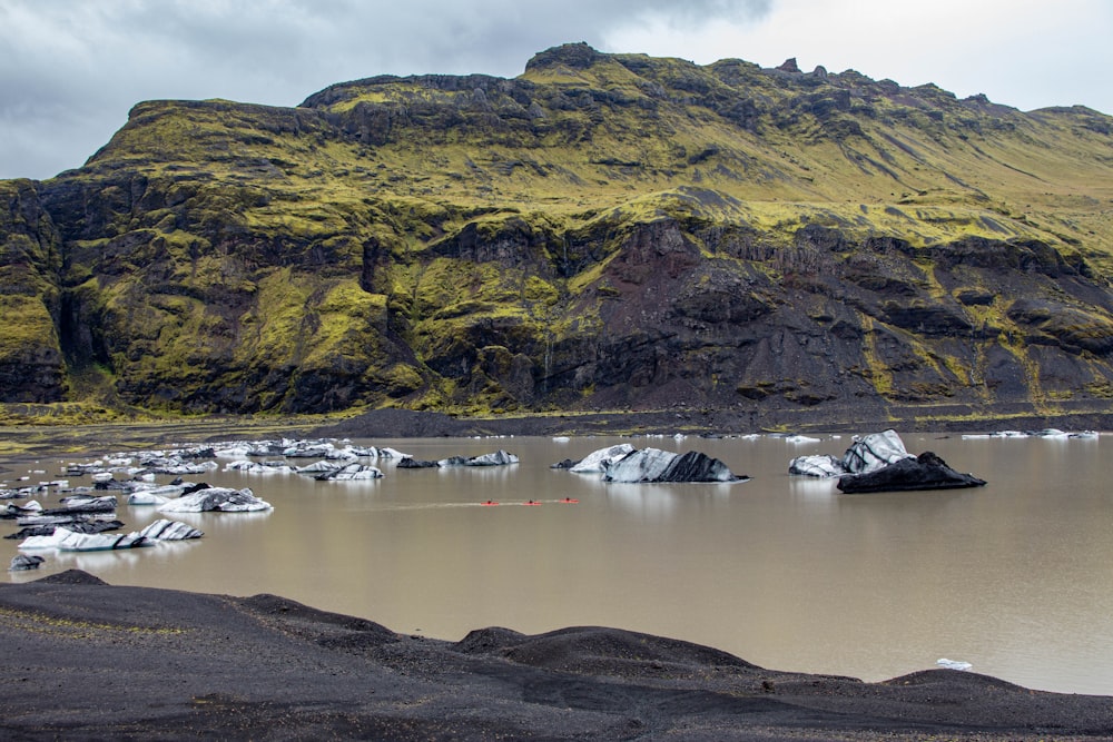 a rocky beach with a hill in the background