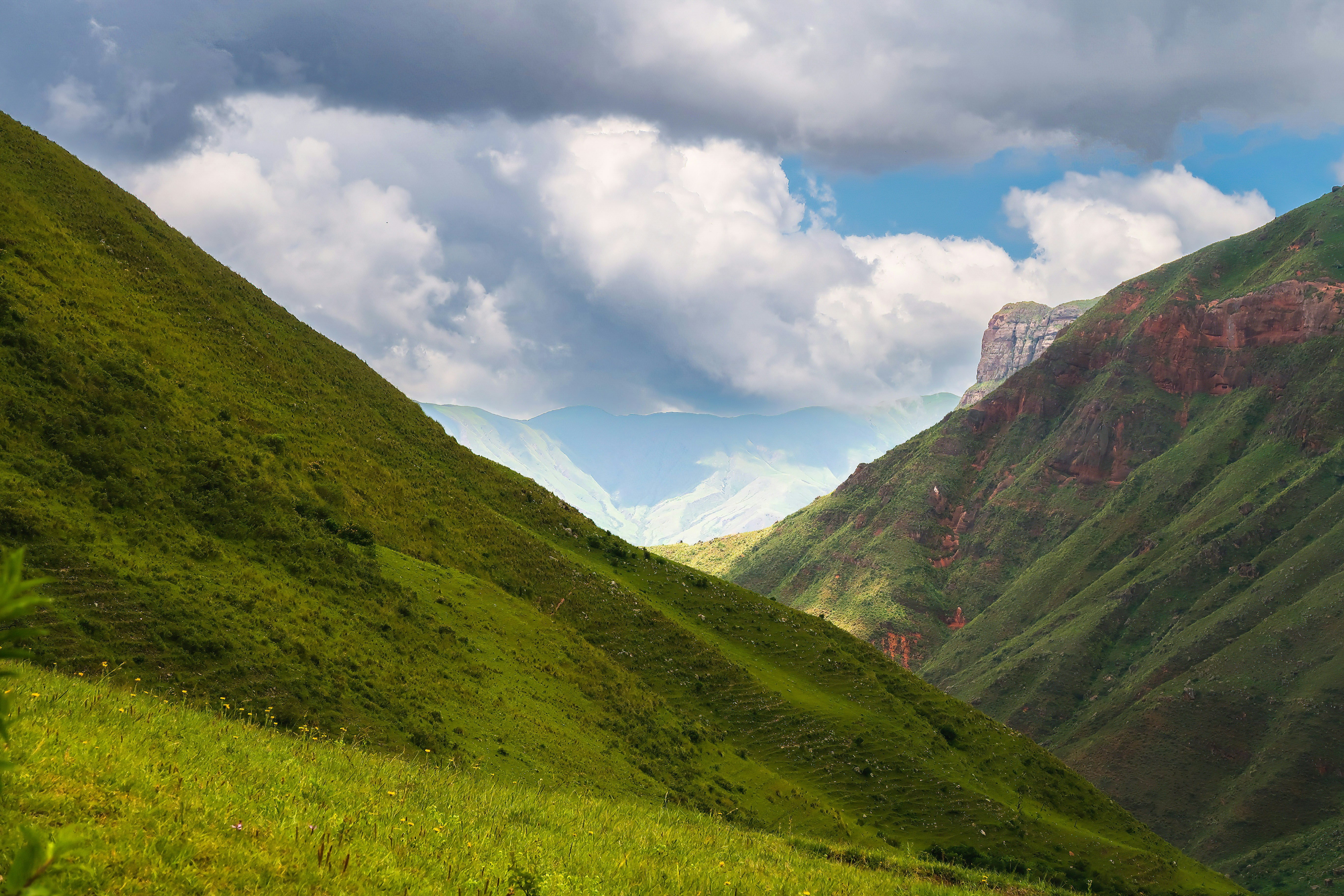 Photo by argentinanatural