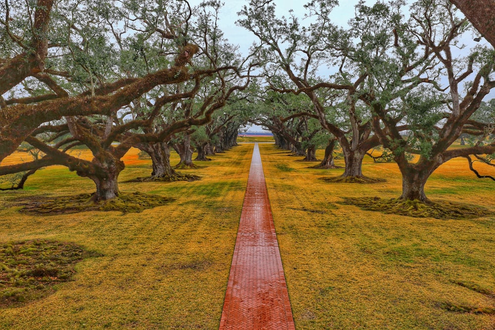 a red pathway through a park