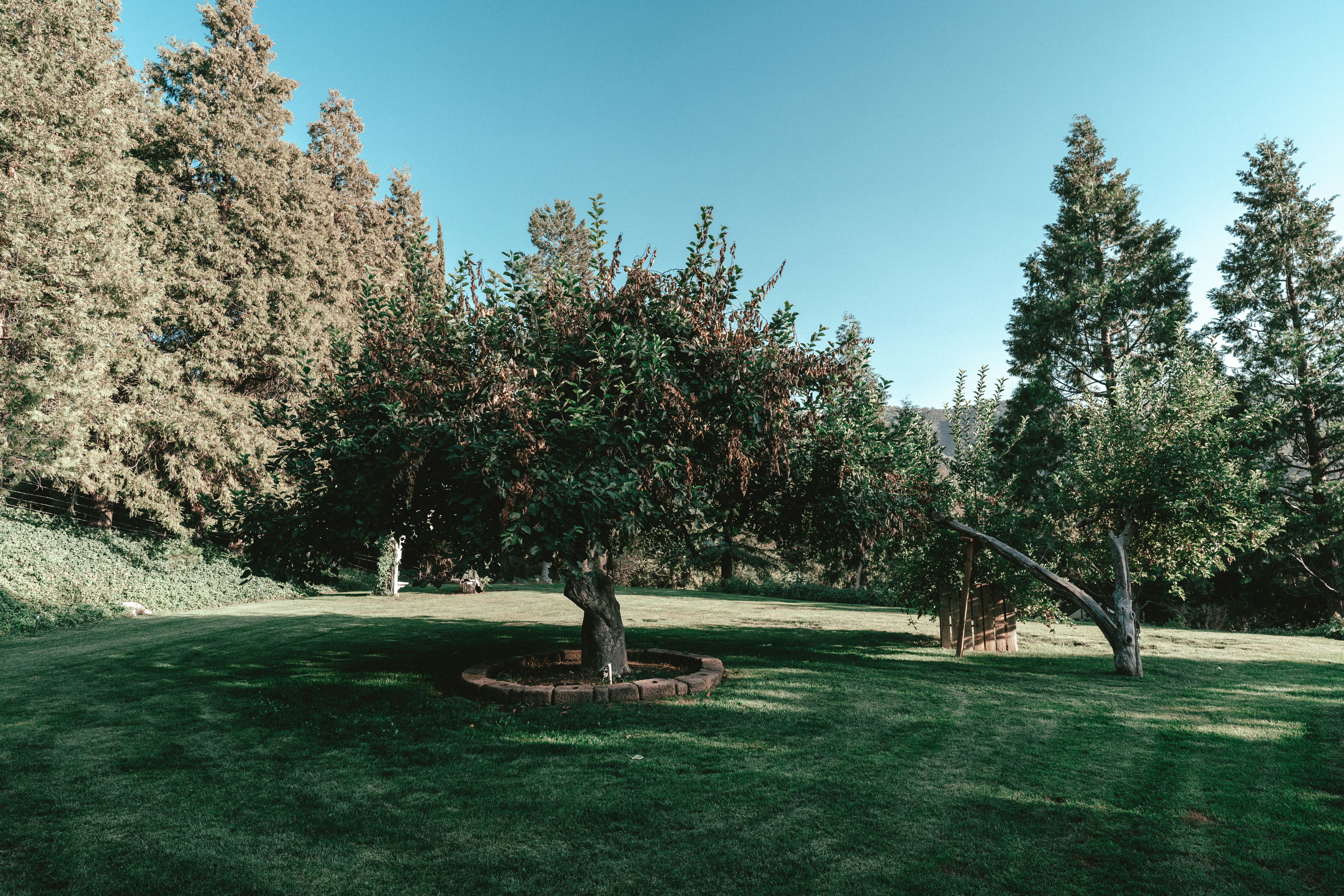 Photo by henrykobutra