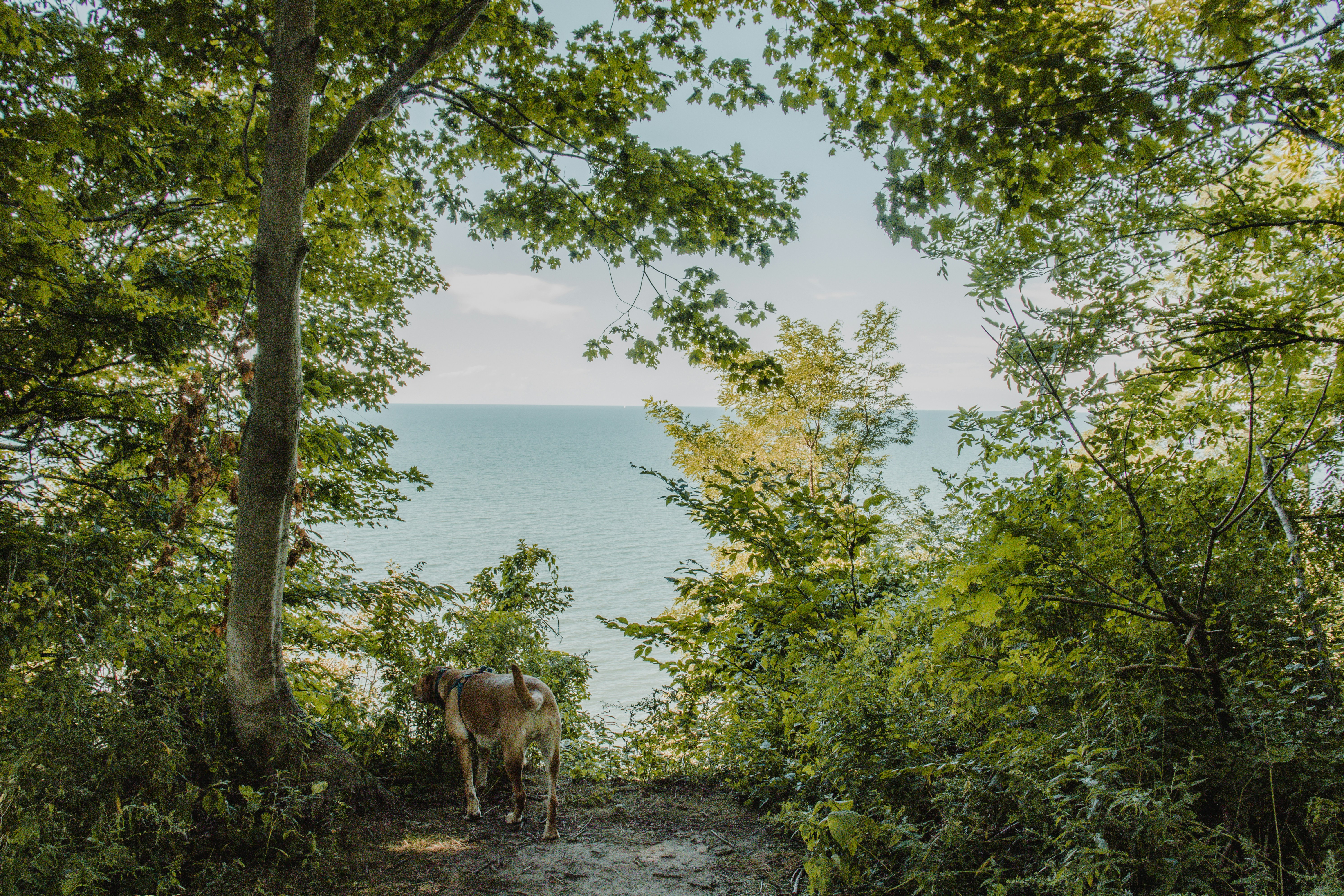 Photo by sydmoore6