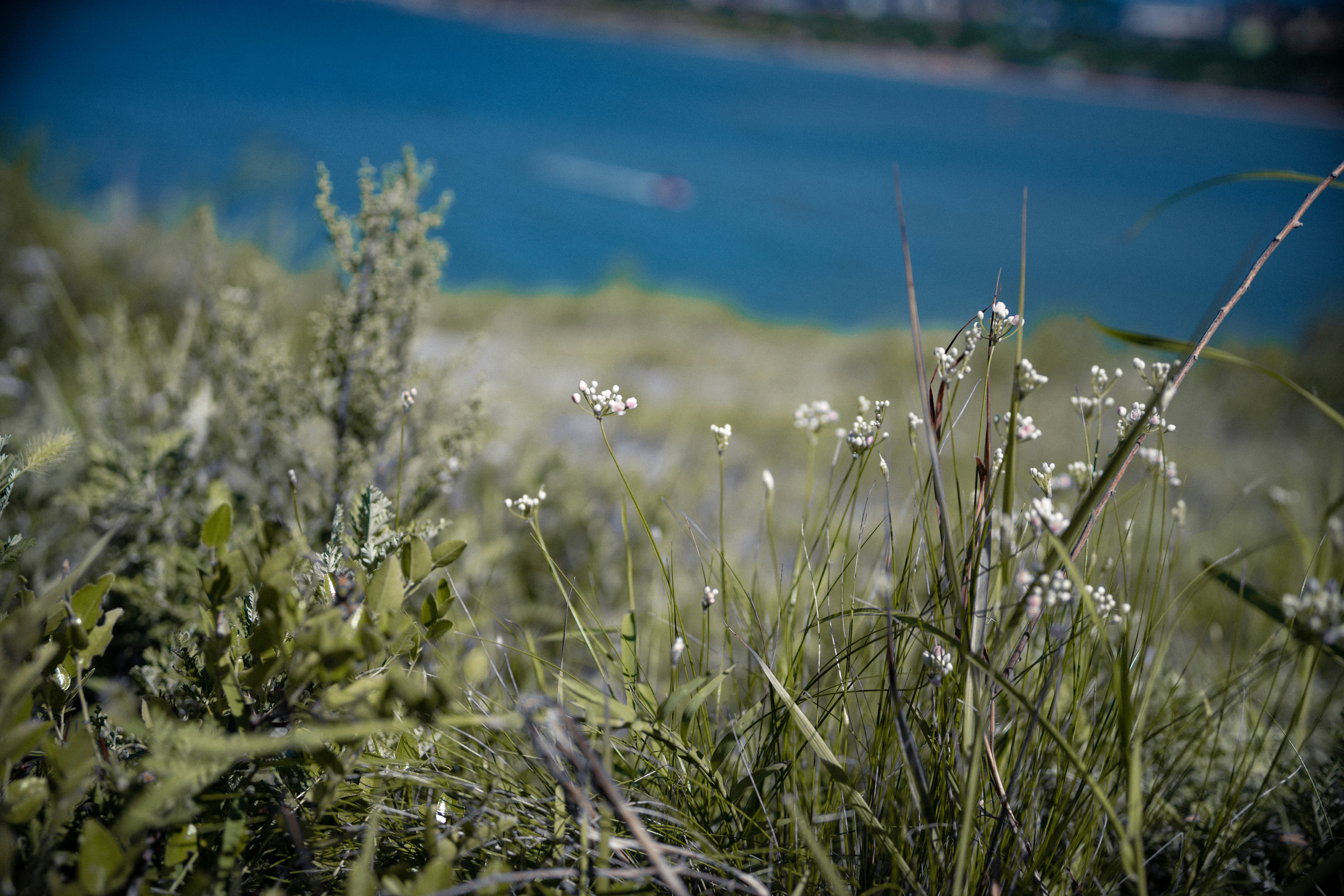 Photo by fourcubes