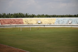 A dynamic image of a football field with the Bolivian flag.
