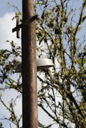A rusty metal pole stands tall, featuring a mounted light fixture with a curved metallic shade. In the background, partially out of focus, are tree branches with sparse leaves against a clear, bright blue sky.