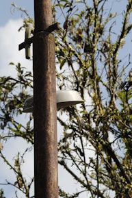 A rusty metal pole stands tall, featuring a mounted light fixture with a curved metallic shade. In the background, partially out of focus, are tree branches with sparse leaves against a clear, bright blue sky.