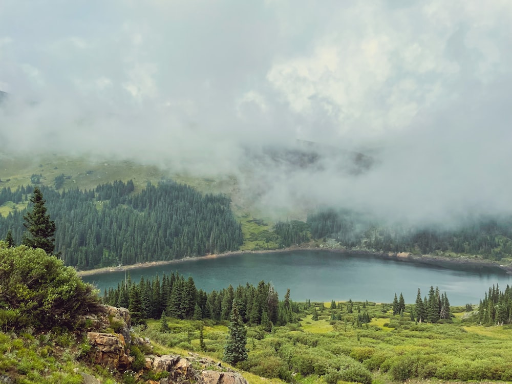 um lago cercado por árvores