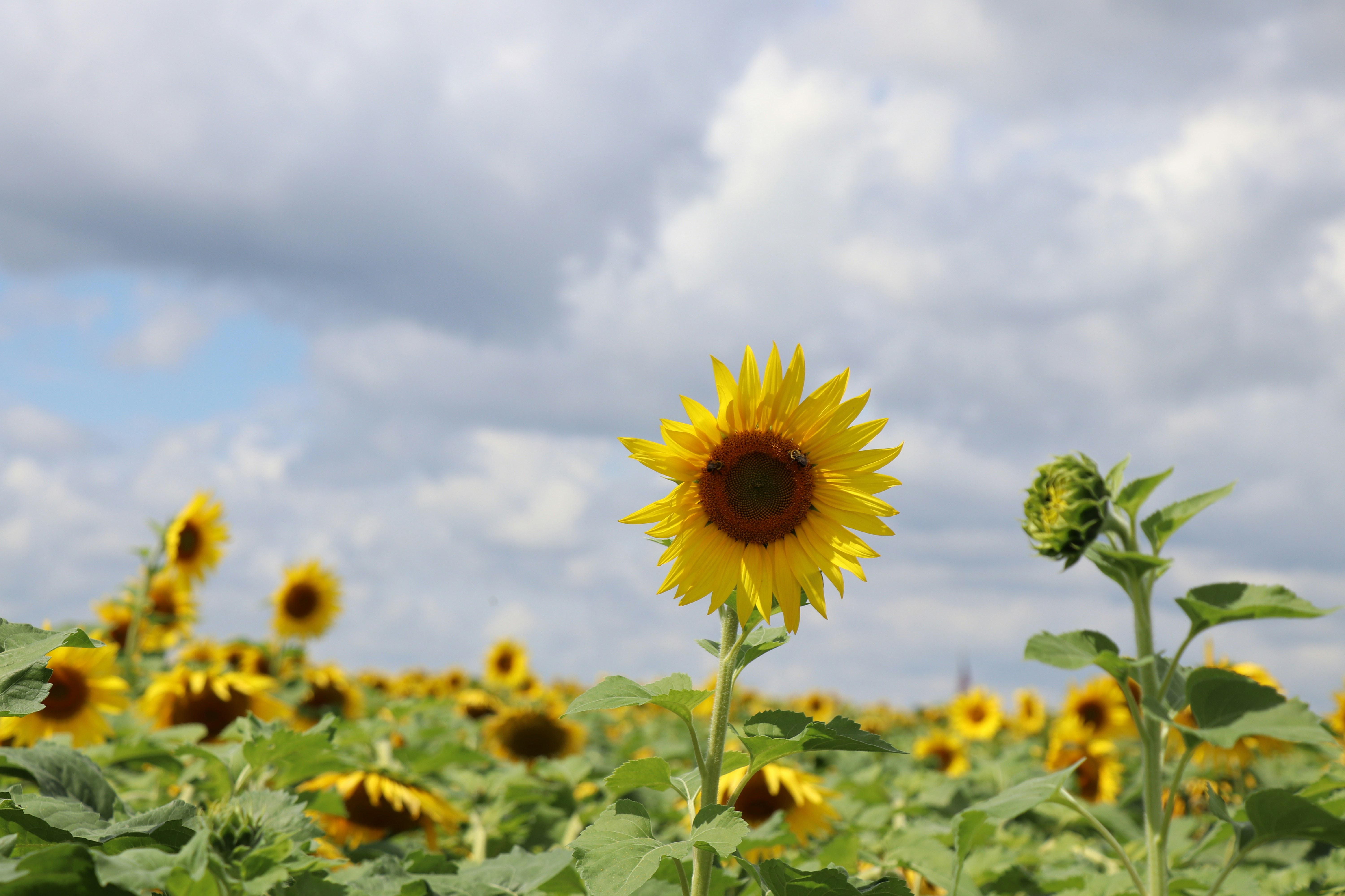 Photo by sandimagerart