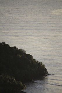 A peaceful coastal scene with vibrant marine life and lush greenery along the shore.