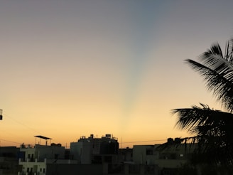 A serene Miami skyline at dusk, highlighting modern luxury high-rises with soft, warm lighting.