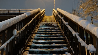 A close-up of freshly cleared steps with snow piled nearby.