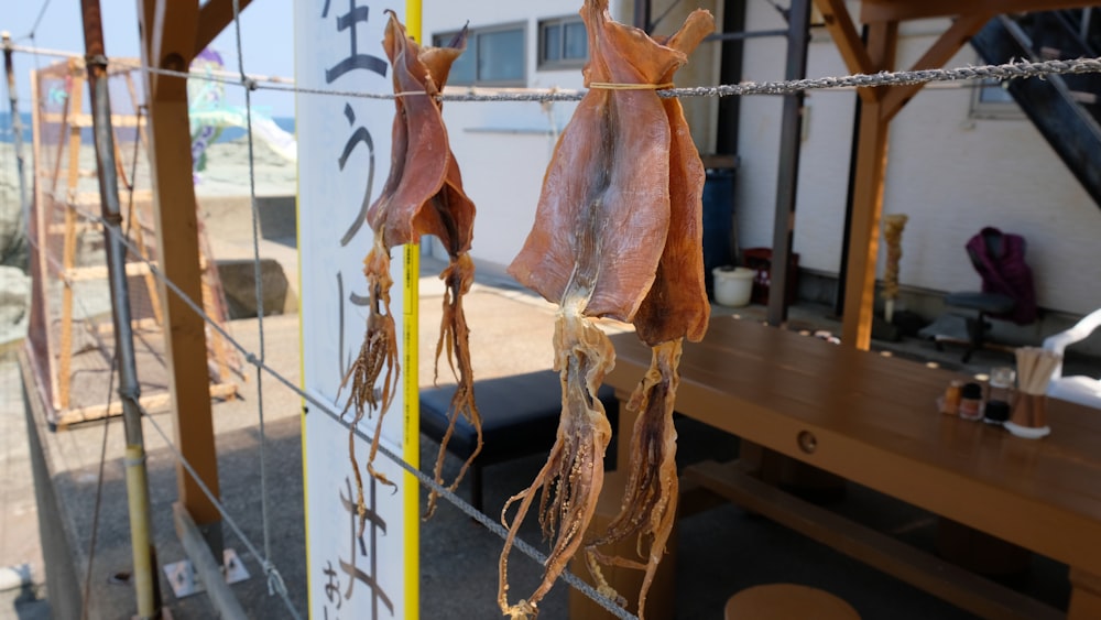 a group of fish on a rope on a boat