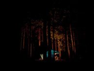 A cozy wildcamping site with a glowing campfire surrounded by tall trees under a starry night sky.