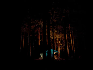 A serene campsite with a glowing tent under a starlit sky surrounded by lush trees.