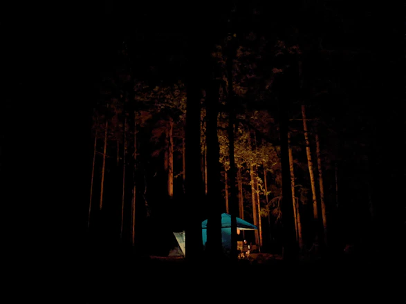 A rugged campsite at dusk with a glowing campfire surrounded by wilderness gear and dense forest.