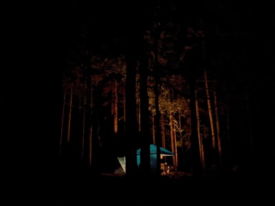 A serene campsite surrounded by tall trees and a glowing campfire at dusk.
