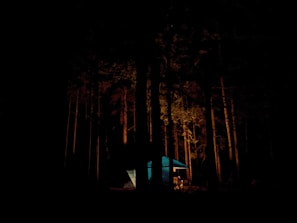 A lone campsite glowing softly under starry sky in the heart of dense woods.