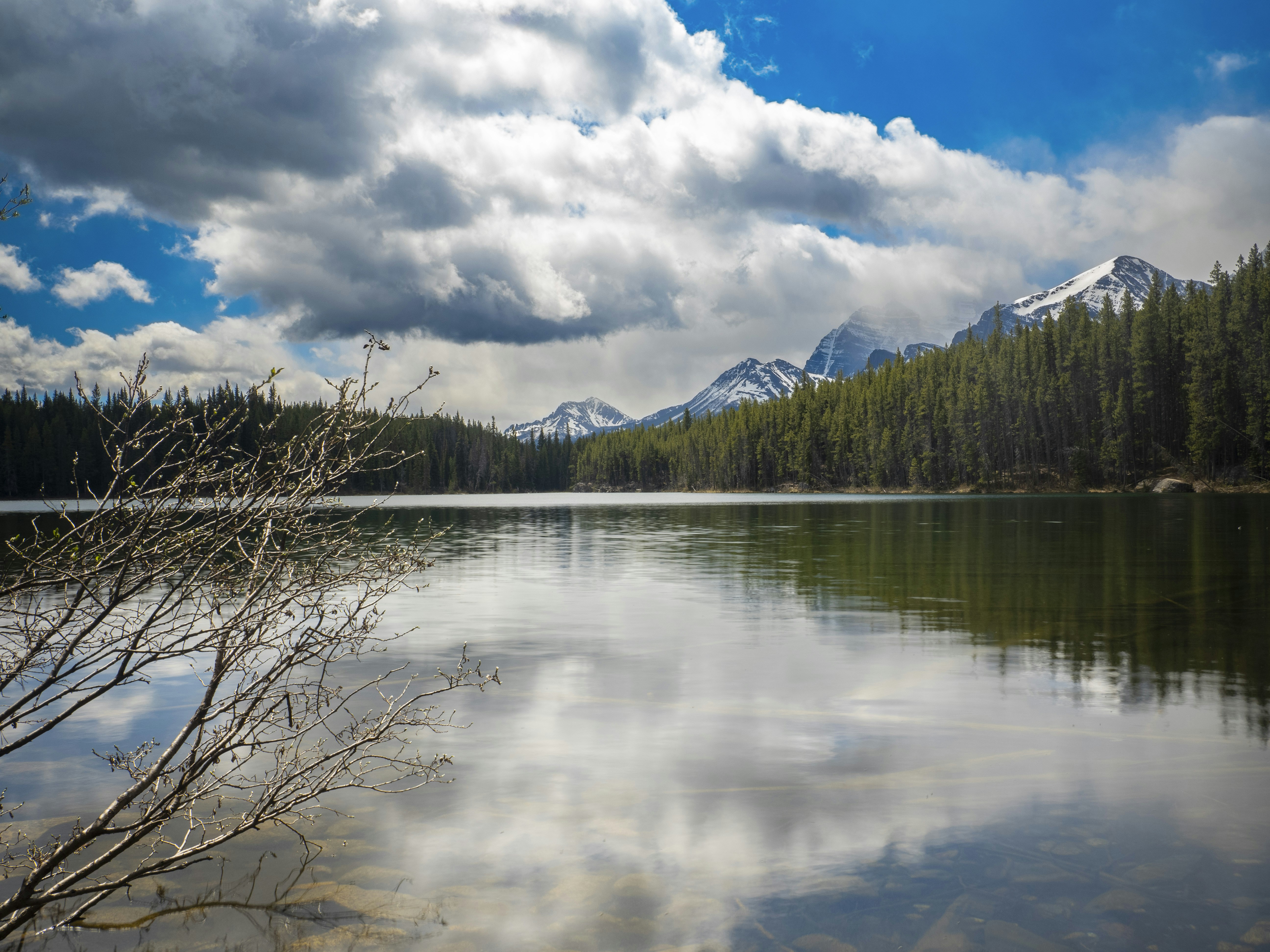a lake with trees and mountains in the background