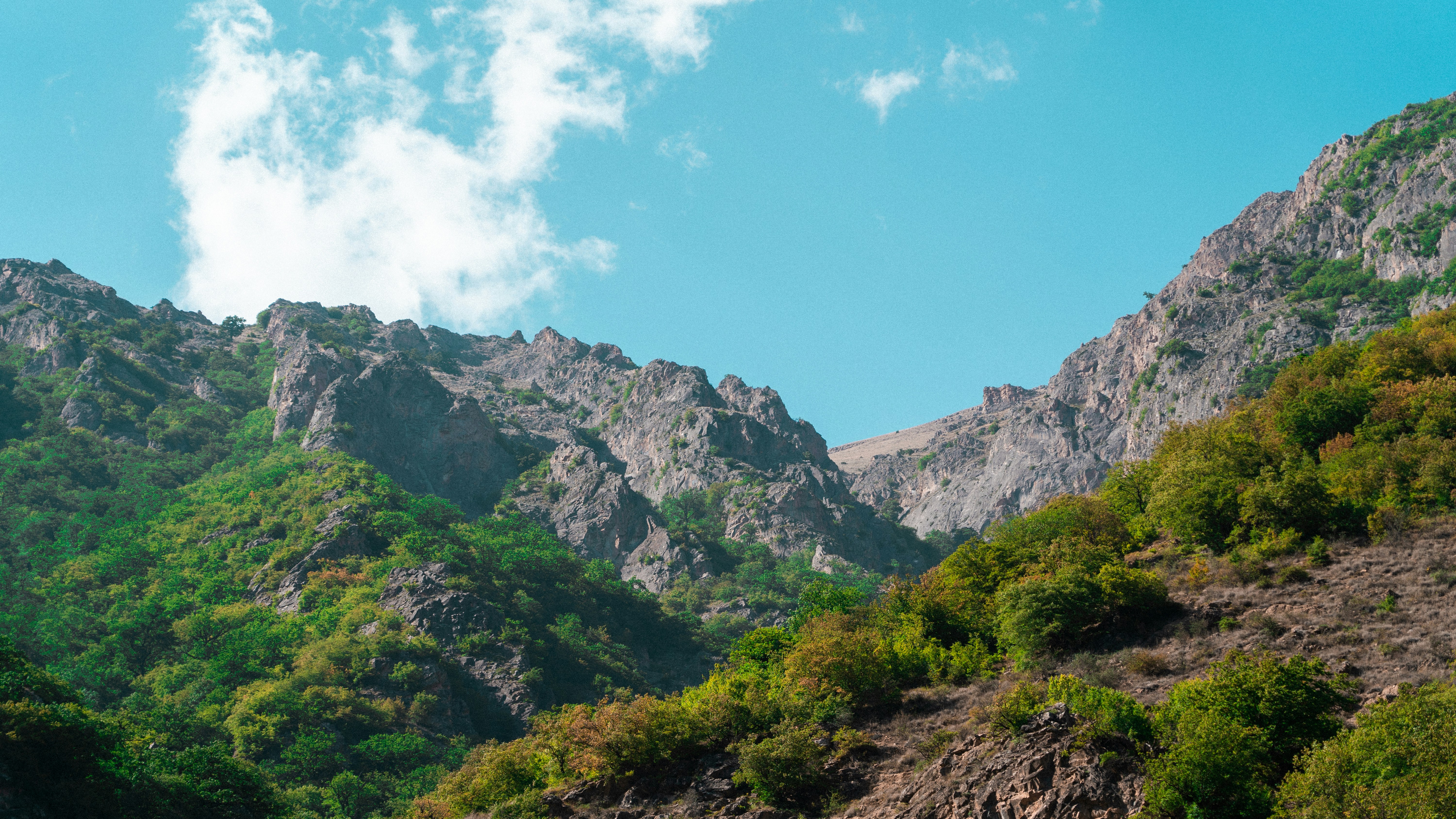 Photo by mahdi_taherian