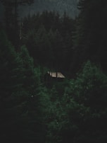 A cozy cottage nestled in the woods, perfect for a getaway.