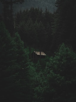 A cozy, secluded cabin nestled in the woods, inviting solitude and escape.