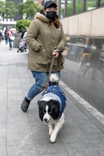 A person wearing a green parka, jeans, and black shoes is walking a fluffy black and white dog that is wearing a denim vest. The person is also wearing a black face mask and a cap. They are on a city sidewalk with trees and a few other people seen in the background.