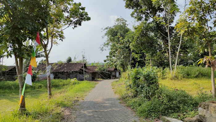 Artisan Bakeries