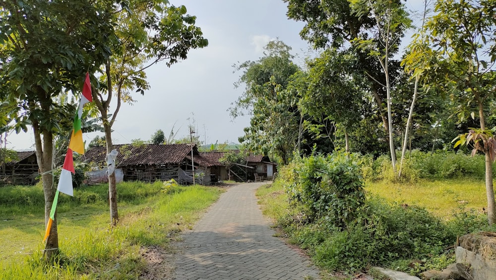 a path with flags and trees on the side