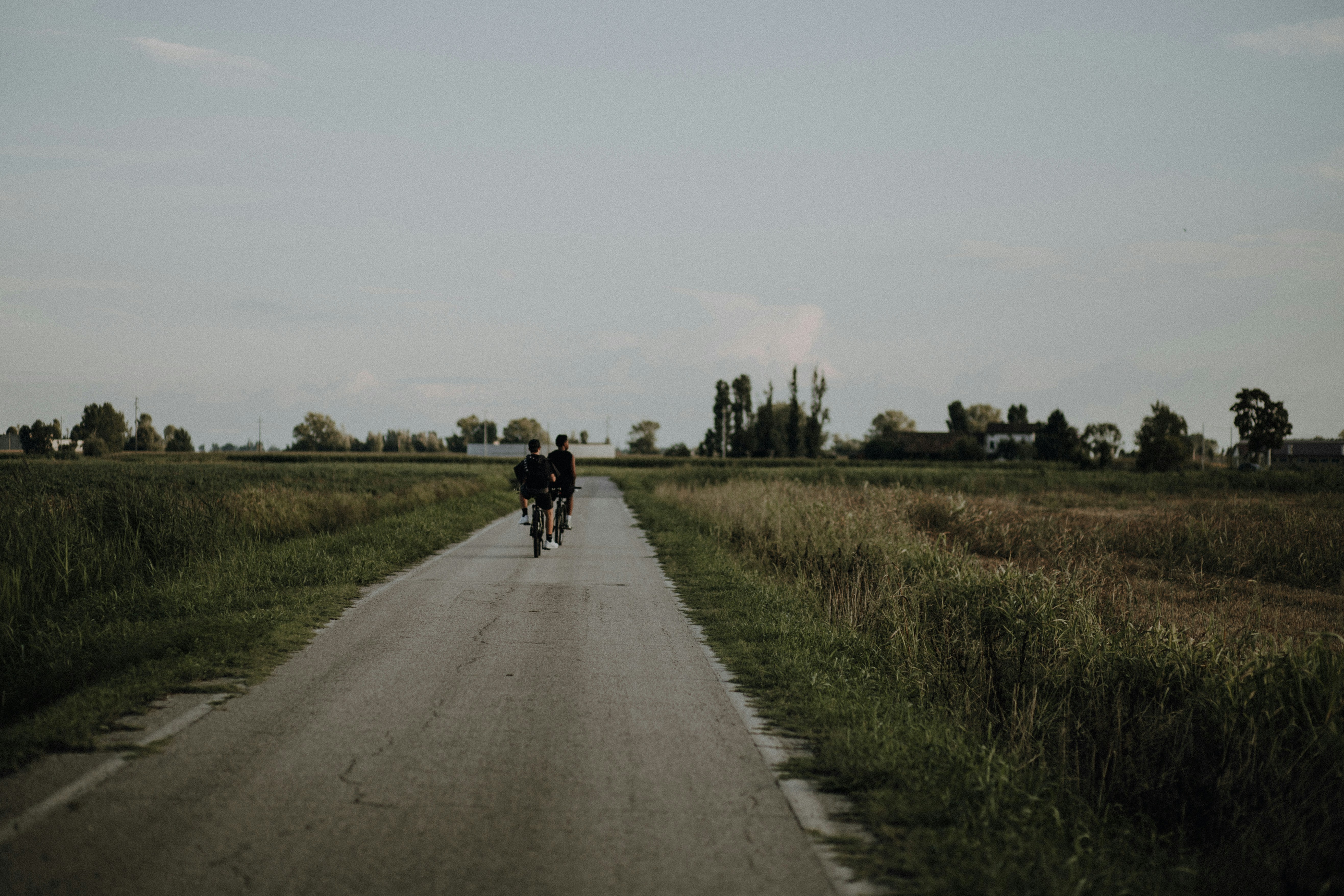 a narrow road surrounded by tall grass