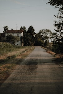 A rural road stretches into the distance, flanked by grassy fields and dense vegetation. A white house with a tiled roof is nestled among trees on the left. The scene is calm and serene, with scattered clouds in the sky.