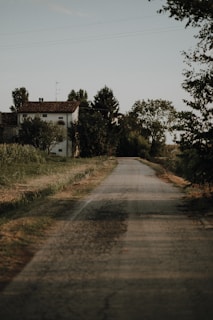 A rural road stretches into the distance, flanked by grassy fields and dense vegetation. A white house with a tiled roof is nestled among trees on the left. The scene is calm and serene, with scattered clouds in the sky.