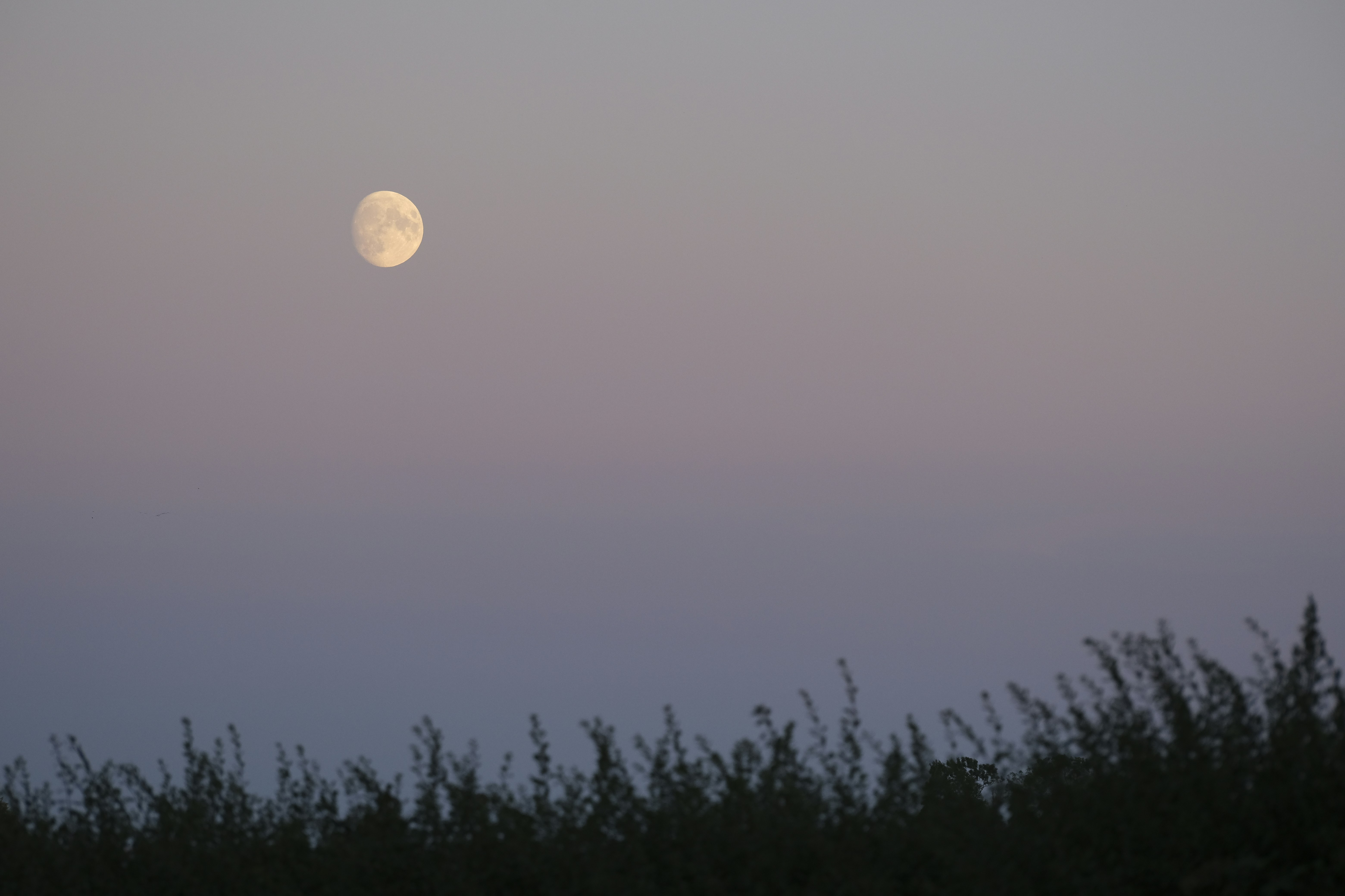 Photo by packetdiscards