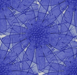 background pattern