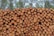 Image showing stacked teak logs ready for shipment at a Ghana timber yard.